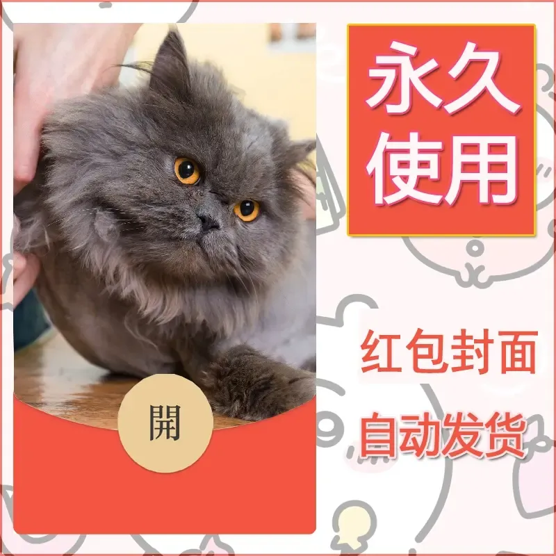 新款永久微信红包封面宠物系列diy素材51