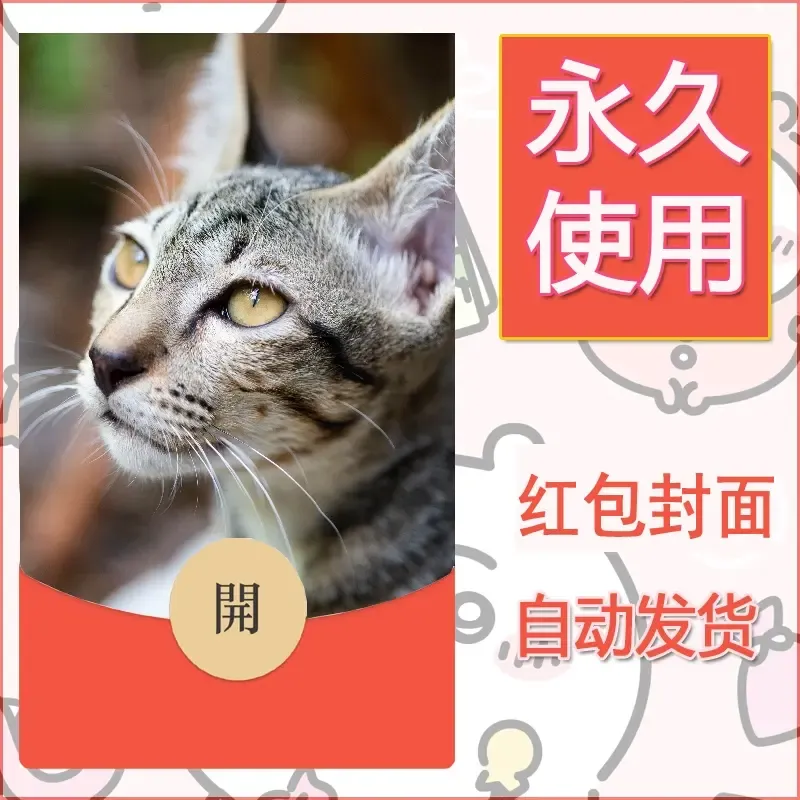 新款永久微信红包封面宠物系列diy素材125