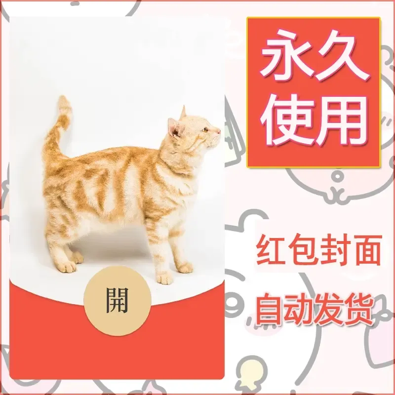 新款永久微信红包封面宠物系列diy素材457